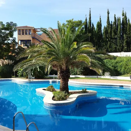 Albatros Club *